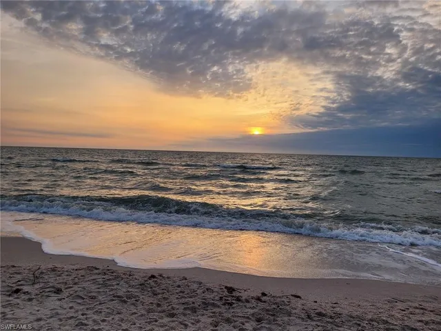 a view of a swimming pool with a garden