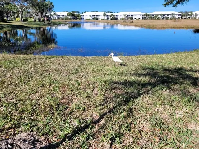 a view of lake with lake view
