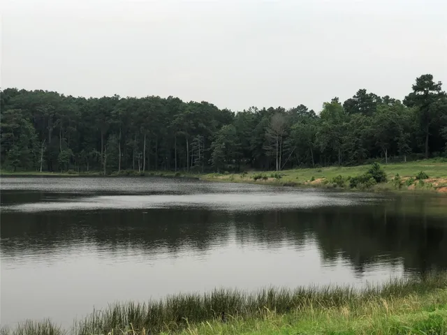 a view of outdoor space with trees