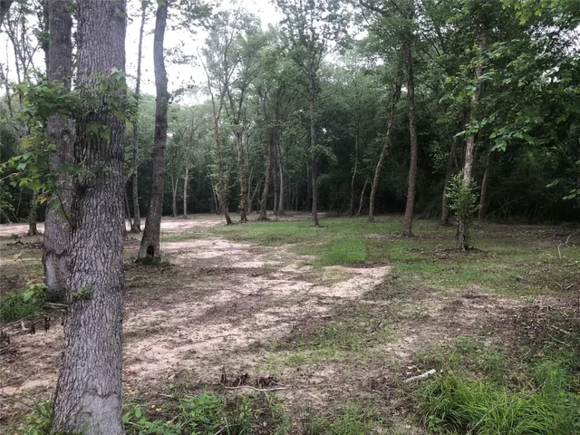 a view of a road with a yard