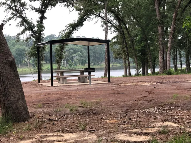 a view of a park with a tree