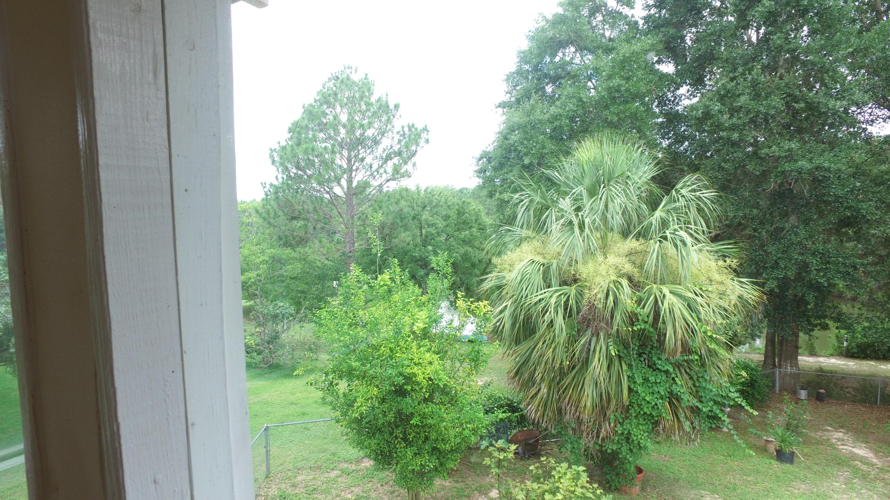 564 Ridge Lake Road Crestview, FL 32536 - Photo 38 of 58 a view of a garden