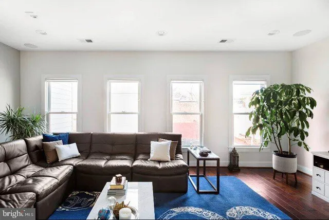 a living room with furniture potted plant and a window