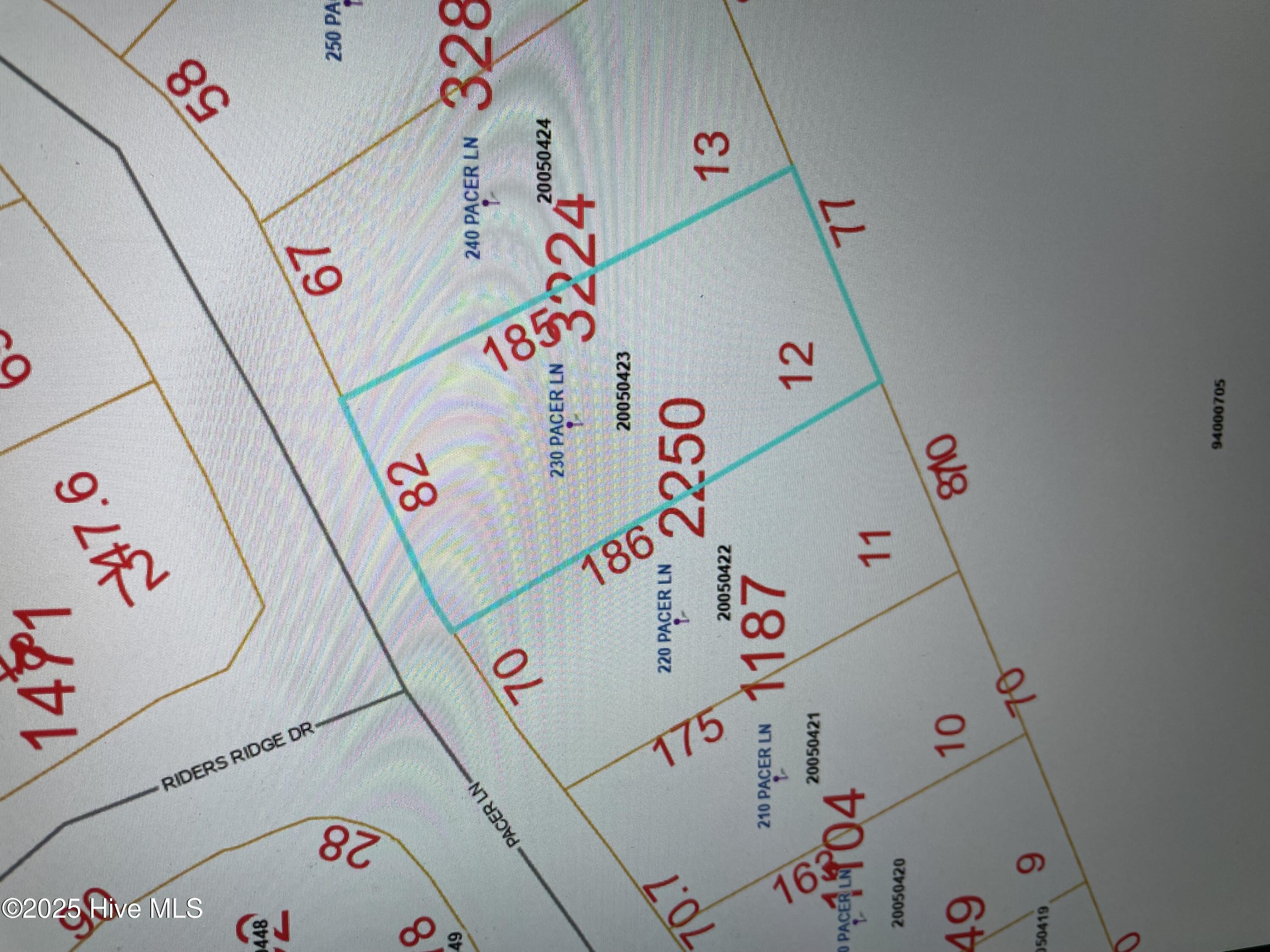 230 Pacer Lane Carthage, NC 28327 - Photo 2 of 2 230 Pacer Ln Lot dimentions