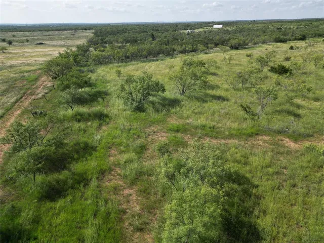 a view of a field with an ocean view