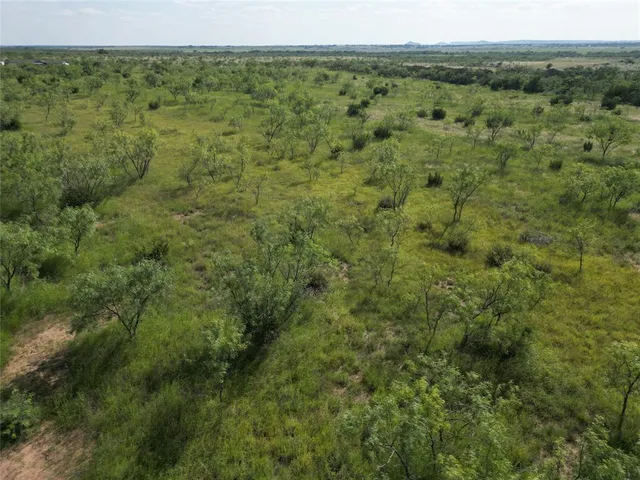 a view of a field with an trees