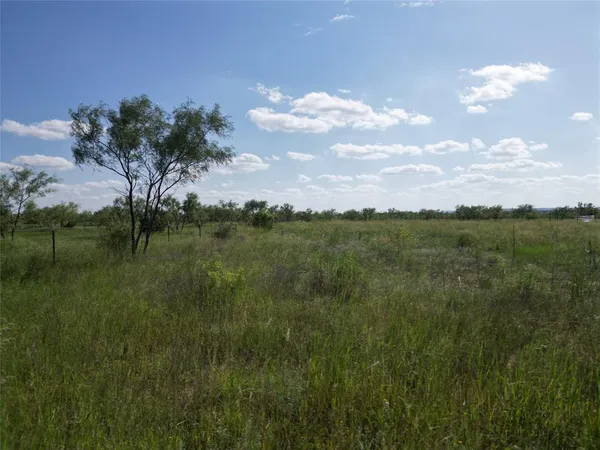 a view of a lake with a yard