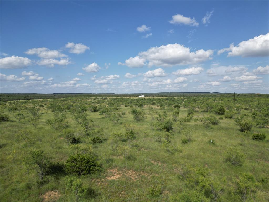 212 Wingate Tx 79566 Wingate, TX 79566 - Photo 7 of 18 a view of a yard