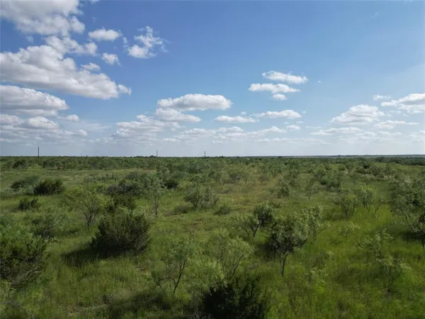 a view of a lake in middle of forest
