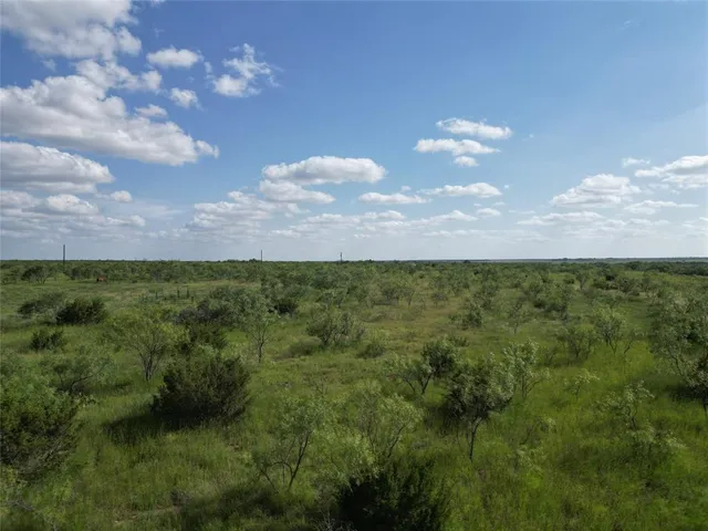 a view of a lake in middle of forest
