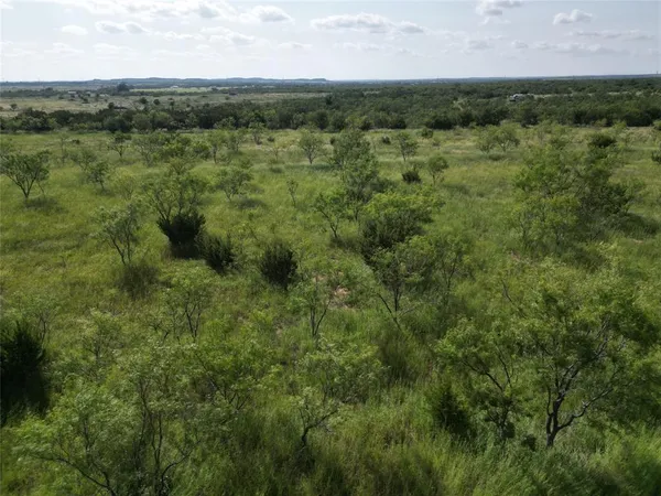 a view of a lush green forest with lots of trees