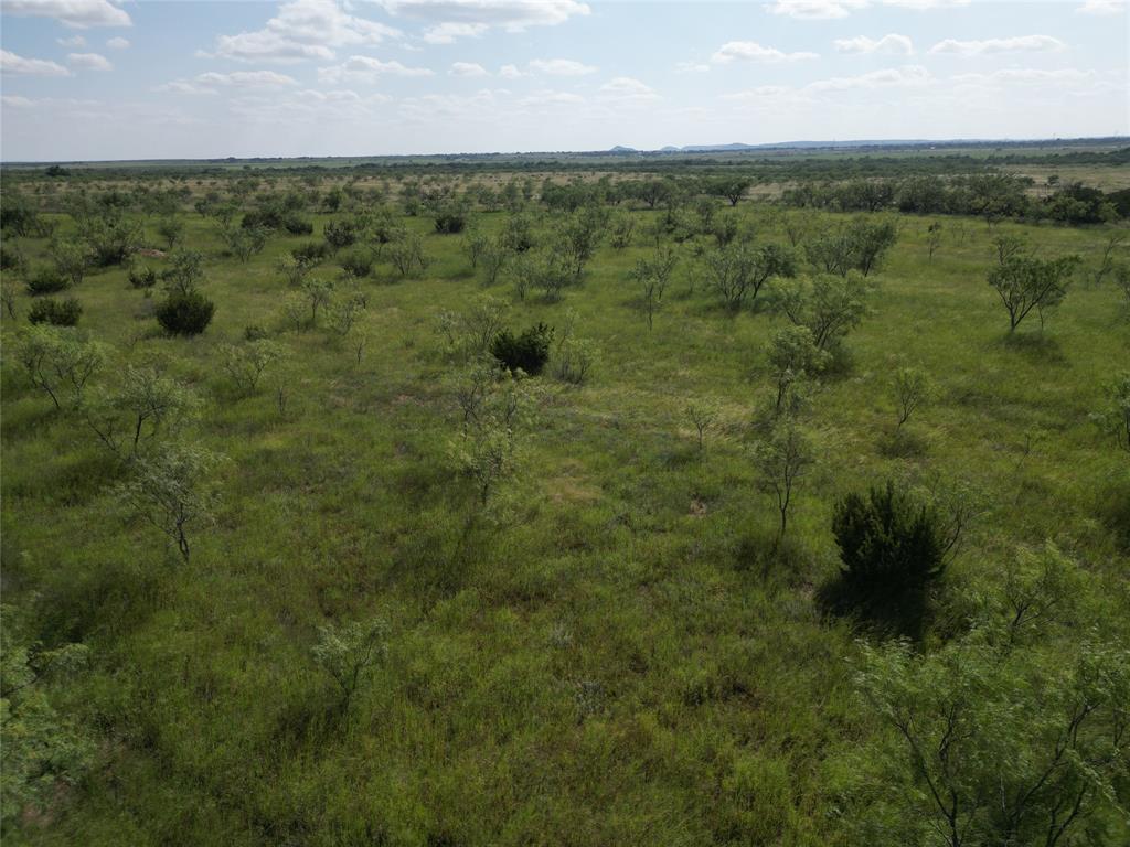 212 Wingate Tx 79566 Wingate, TX 79566 - Photo 10 of 18 a view of a forest with a street