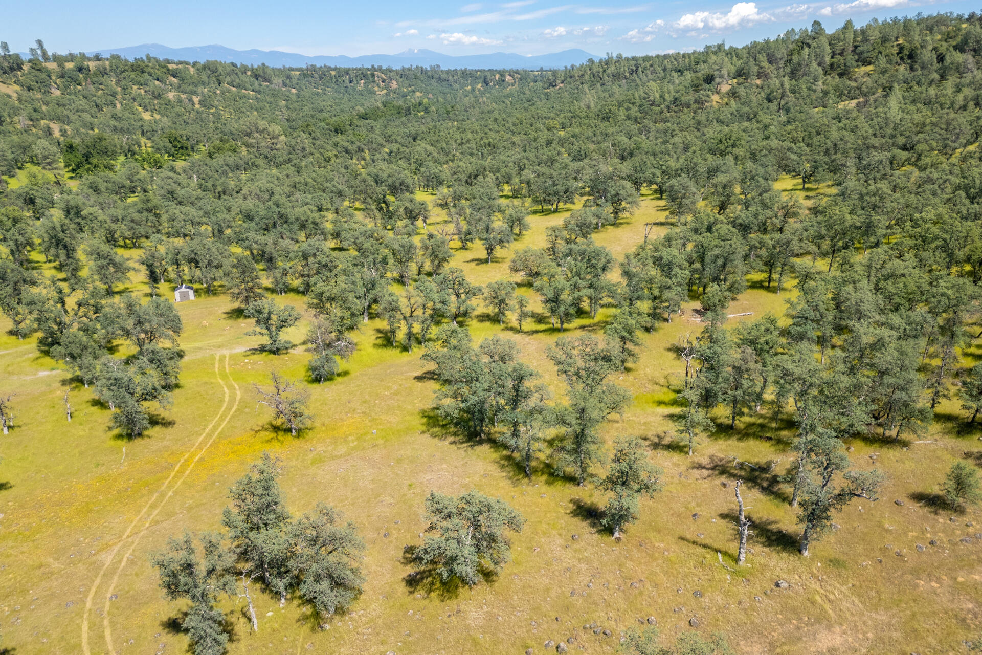0 Racoon Way Oak Run, CA 96069 - Photo 9 of 39 Racoon006