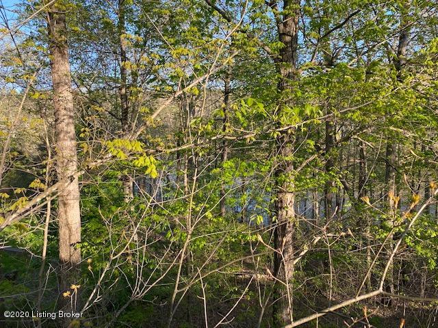 515 Mallard Pointe Road Clarkson, KY 42726 - Photo 26 of 28 IMG_9555