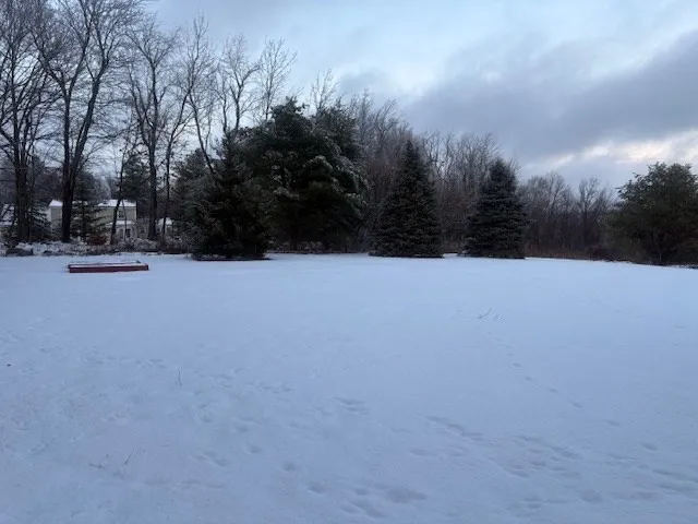 a view of swimming pool and trees in the background