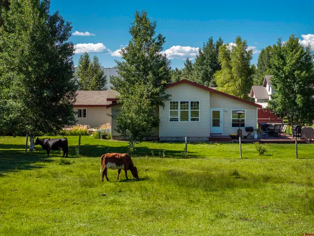 a view of backyard of house with green space