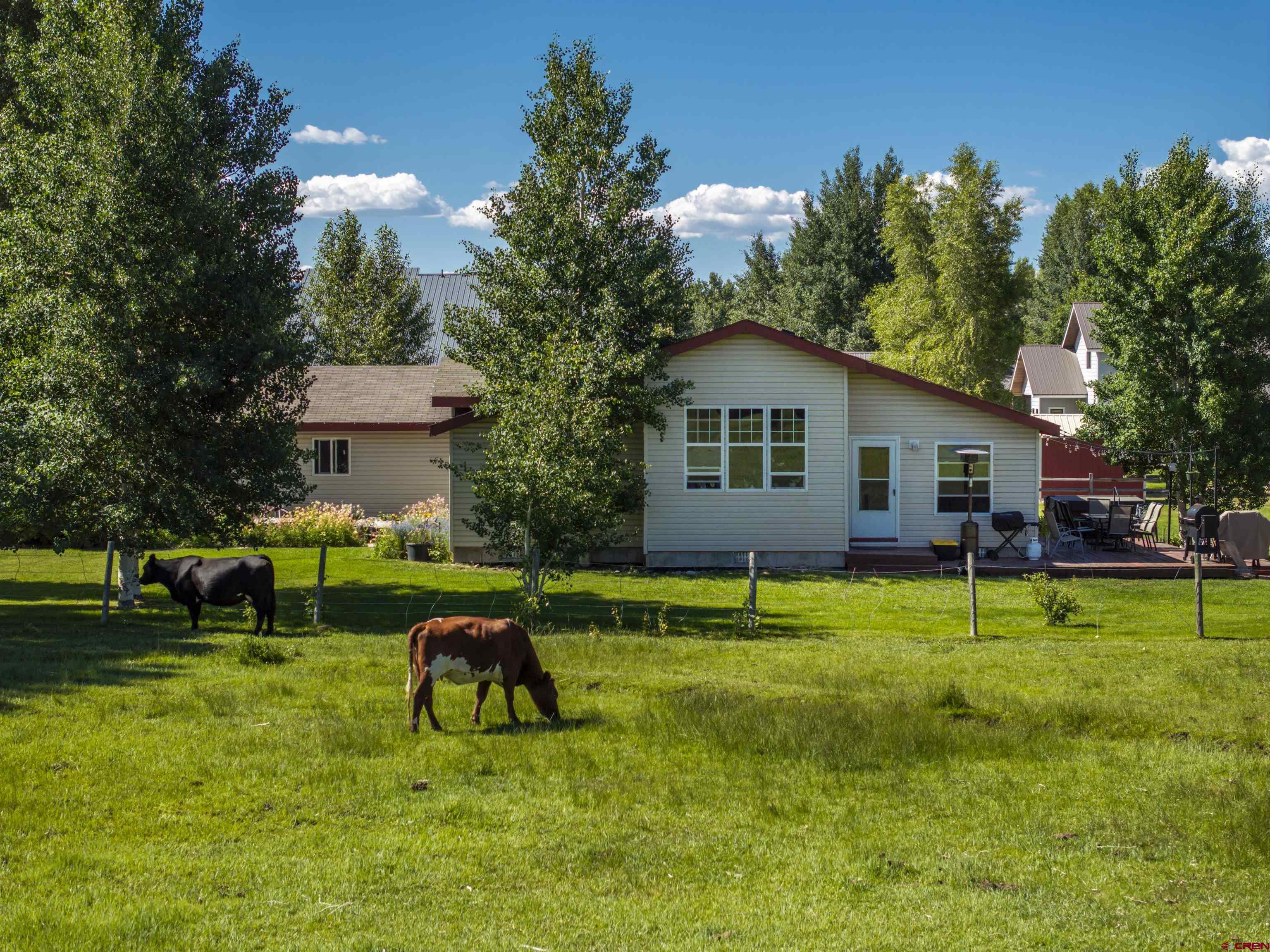 351 North 3rd Street Gunnison, CO 81230 - Photo 2 of 45 a view of backyard of house with green space