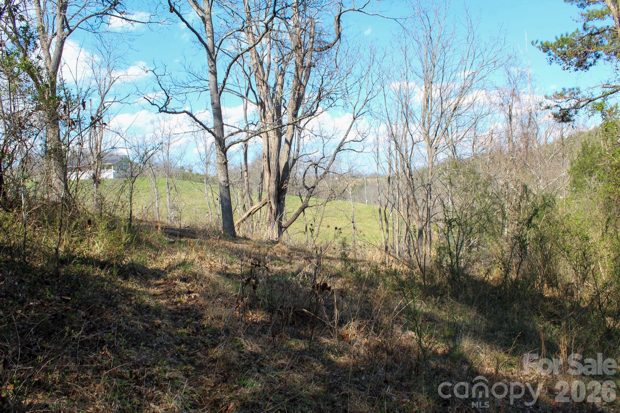 99999 Fletcher Martin Road Alexander, NC 28701 - Photo 34 of 47 Gallery Image 34