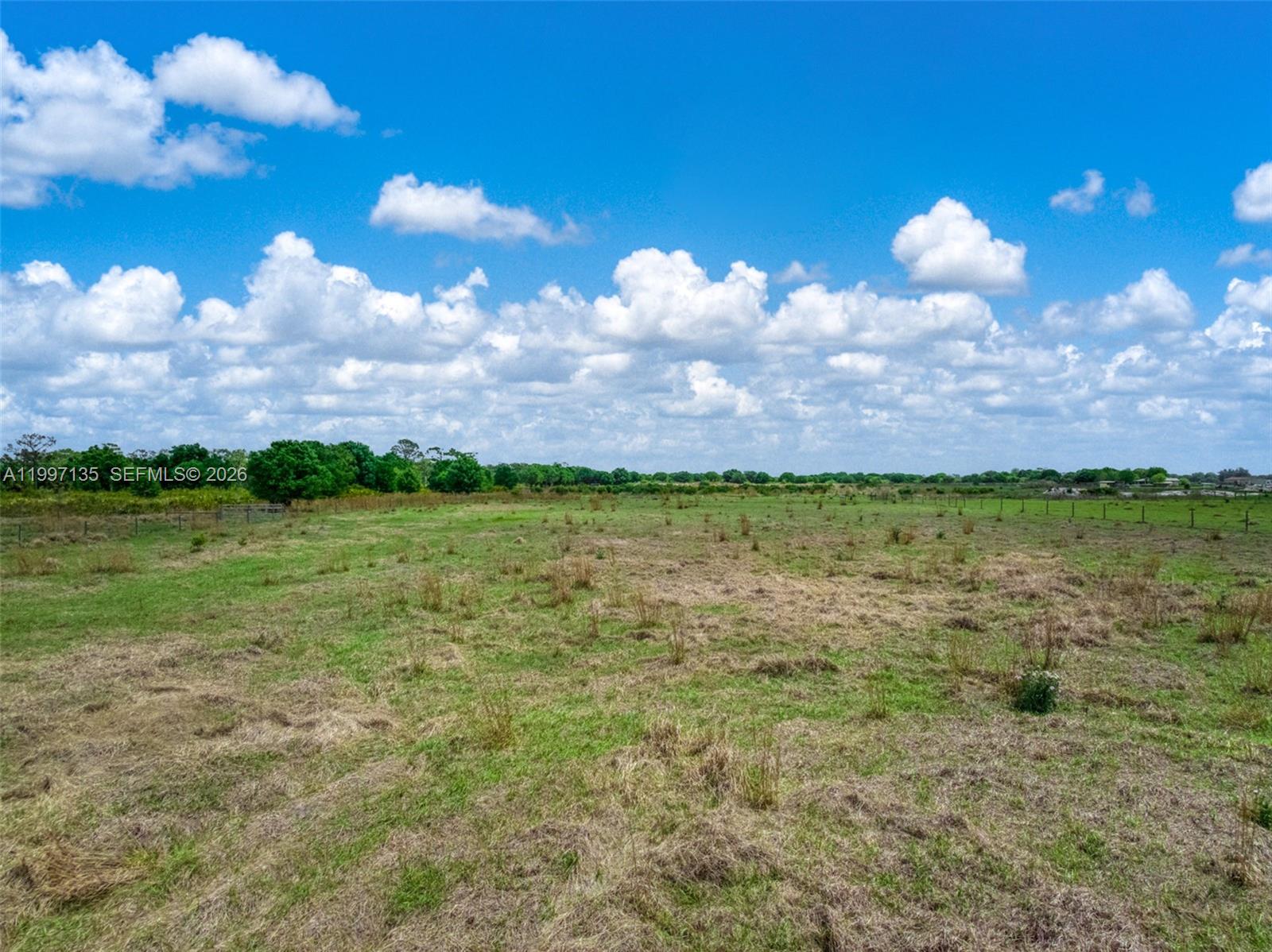 615 Graham Dairy Road Venus, FL 33960 - Photo 31 of 97