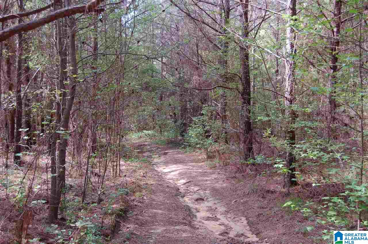 C C Road, Unit 40 00 Vinemont, AL 35179 - Photo 11 of 12