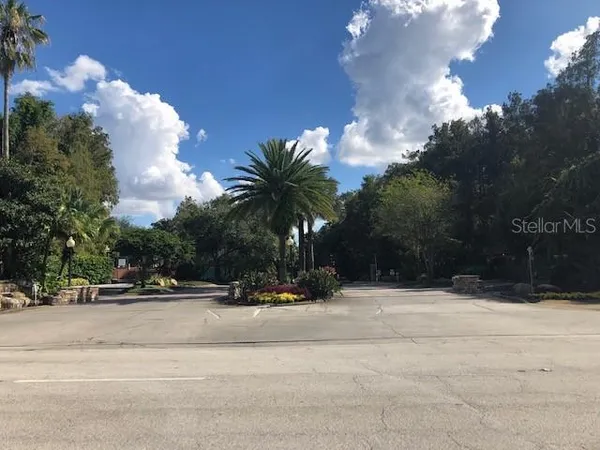 a view of road and trees