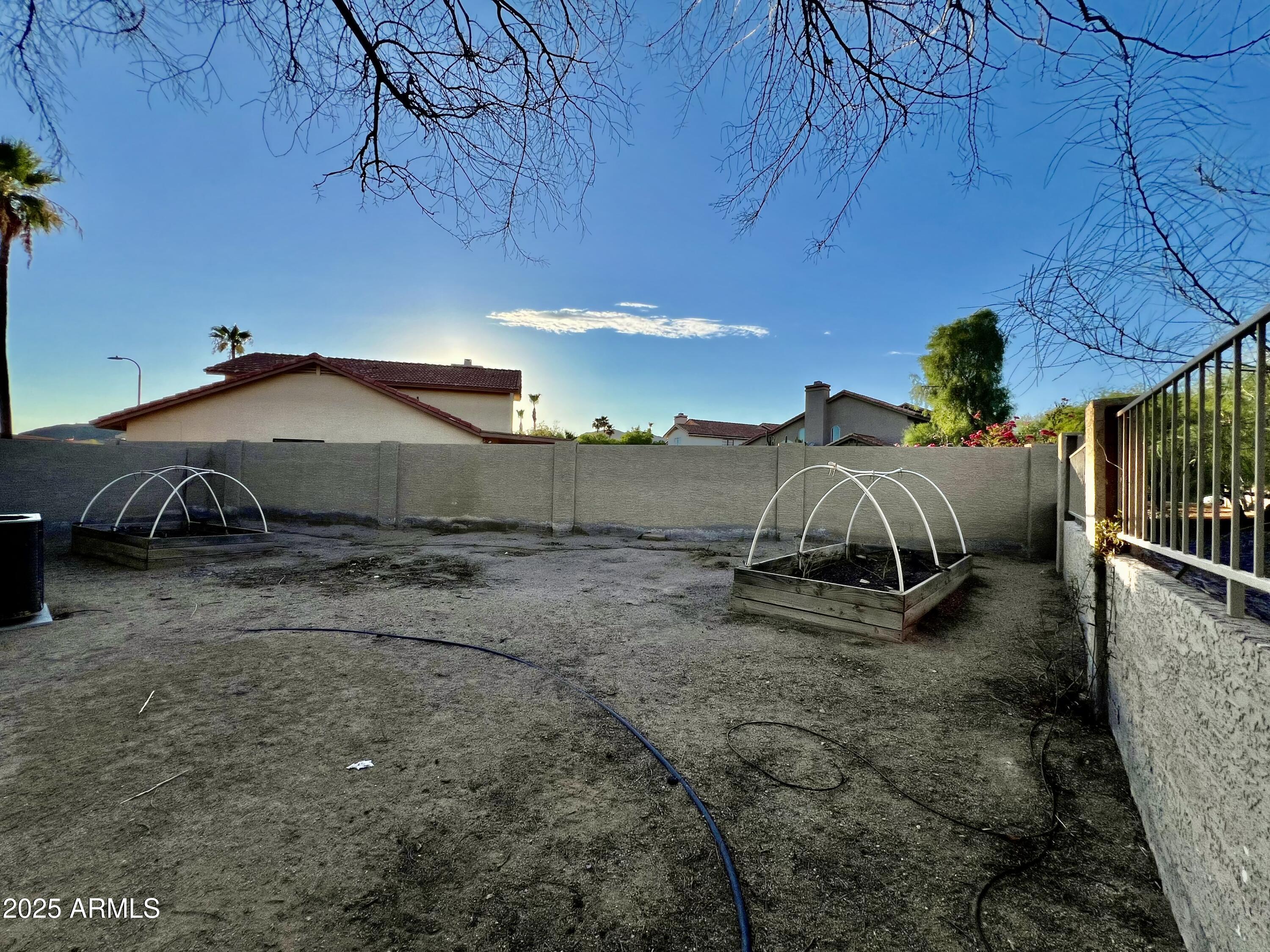13643 South 36th Way Phoenix, AZ 85044 - Photo 26 of 32 a view of a backyard