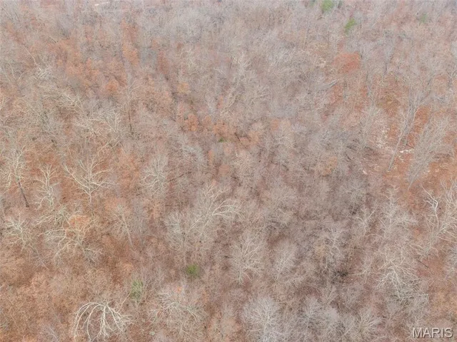 $120,000 | 0 Private Lane, Salem, MO 65560