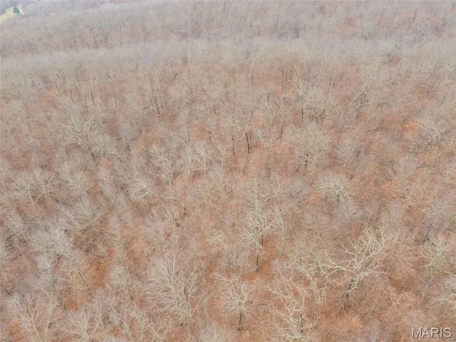 $120,000 | 0 Private Lane, Salem, MO 65560