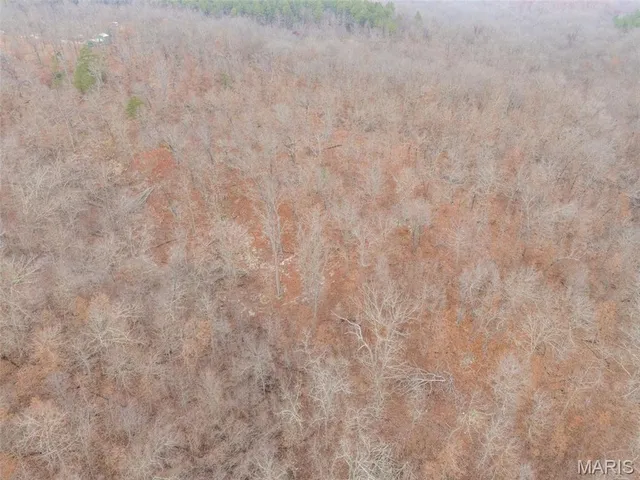 $120,000 | 0 Private Lane, Salem, MO 65560