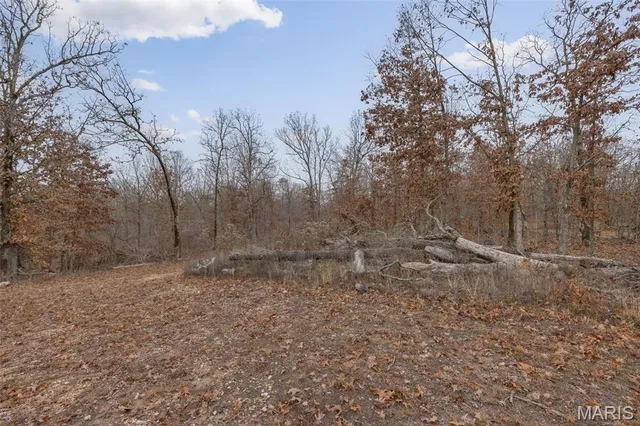 $120,000 | 0 Private Lane, Salem, MO 65560