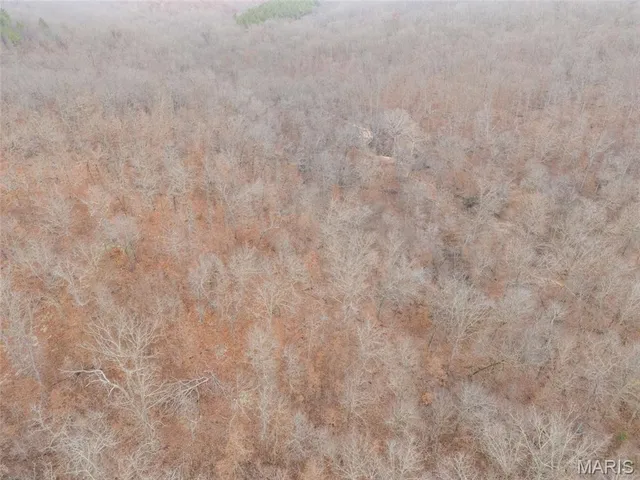 $120,000 | 0 Private Lane, Salem, MO 65560