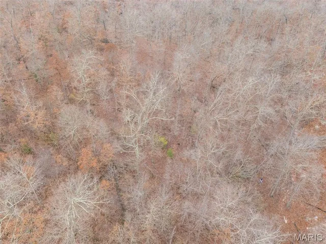 $120,000 | 0 Private Lane, Salem, MO 65560