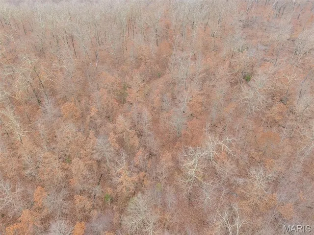 $120,000 | 0 Private Lane, Salem, MO 65560