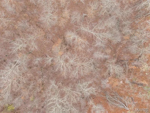 $120,000 | 0 Private Lane, Salem, MO 65560