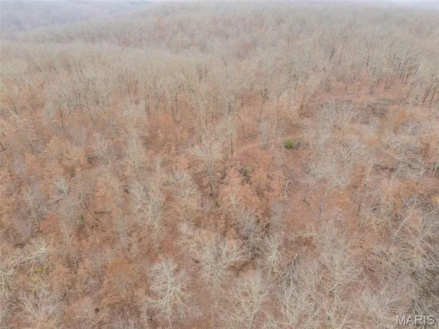 $120,000 | 0 Private Lane, Salem, MO 65560