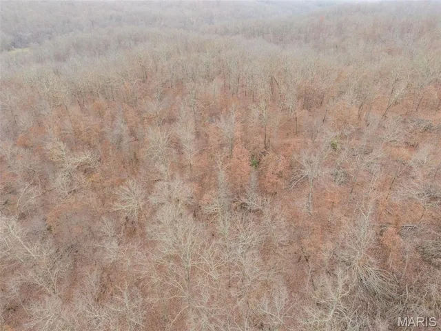 $120,000 | 0 Private Lane, Salem, MO 65560