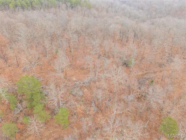 $120,000 | 0 Private Lane, Salem, MO 65560