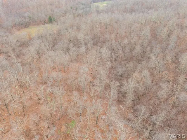 $120,000 | 0 Private Lane, Salem, MO 65560