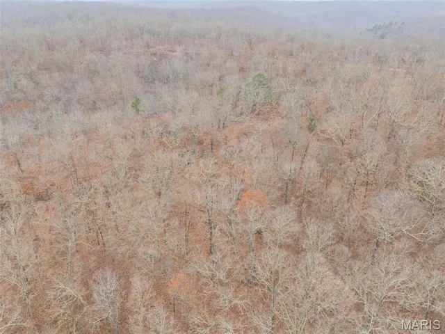 $120,000 | 0 Private Lane, Salem, MO 65560