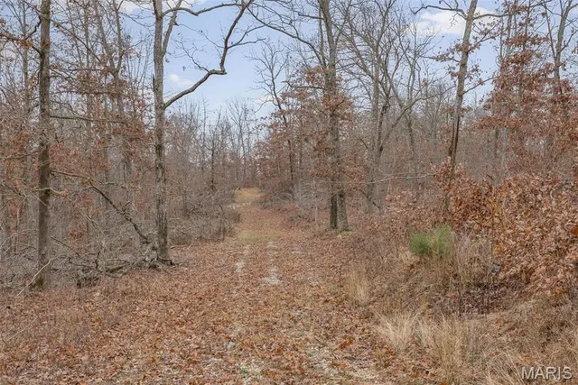 $120,000 | 0 Private Lane, Salem, MO 65560