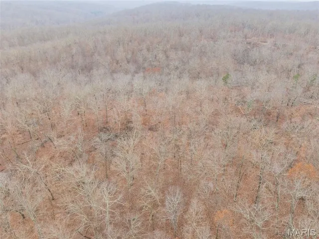 $120,000 | 0 Private Lane, Salem, MO 65560