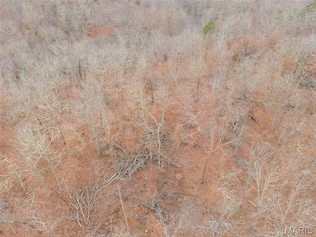 $120,000 | 0 Private Lane, Salem, MO 65560