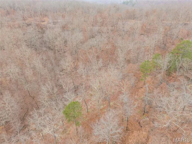 $120,000 | 0 Private Lane, Salem, MO 65560