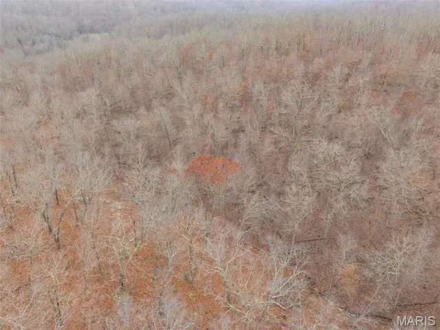 $120,000 | 0 Private Lane, Salem, MO 65560