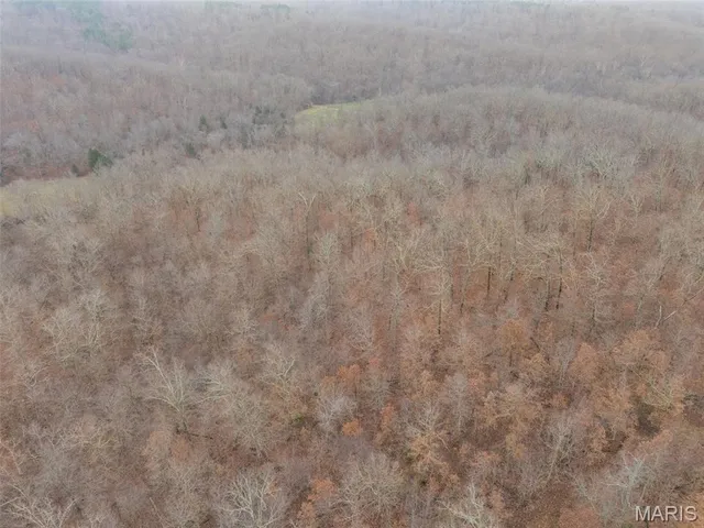 $120,000 | 0 Private Lane, Salem, MO 65560