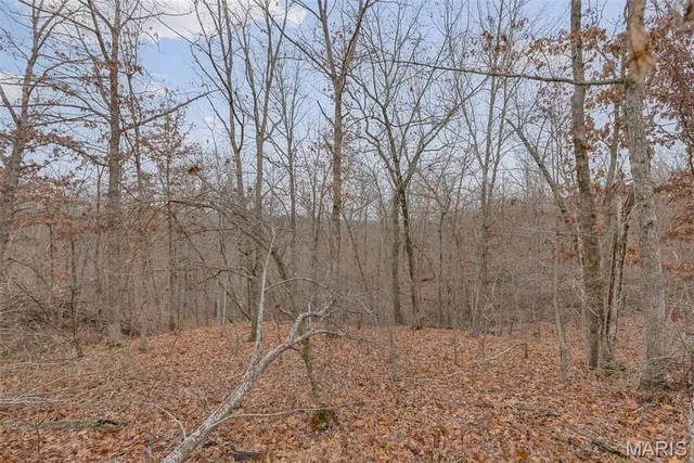 $120,000 | 0 Private Lane, Salem, MO 65560