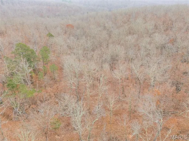 $120,000 | 0 Private Lane, Salem, MO 65560