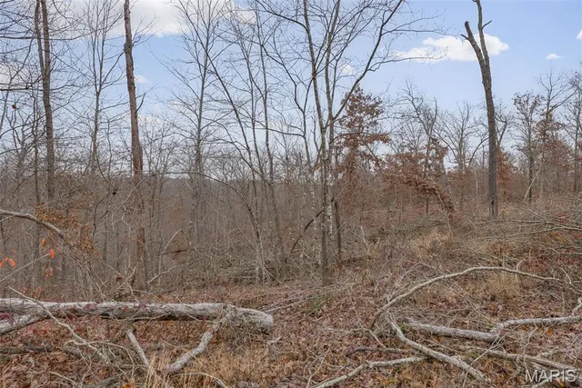 $120,000 | 0 Private Lane, Salem, MO 65560