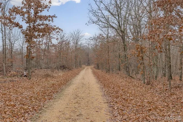 $120,000 | 0 Private Lane, Salem, MO 65560