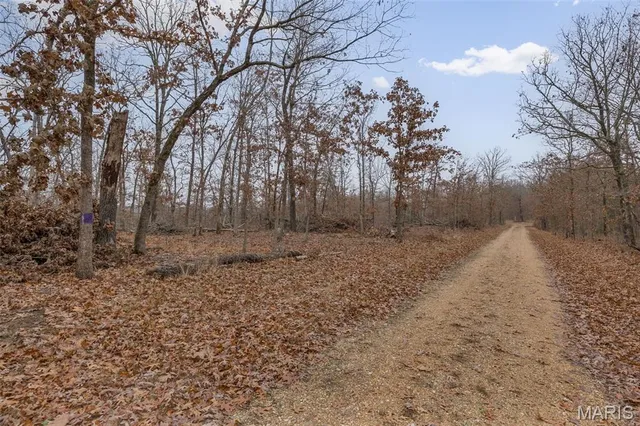 $120,000 | 0 Private Lane, Salem, MO 65560